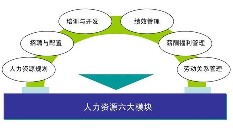 成都劳务公司服务范围全解析：合规用工的得力助手